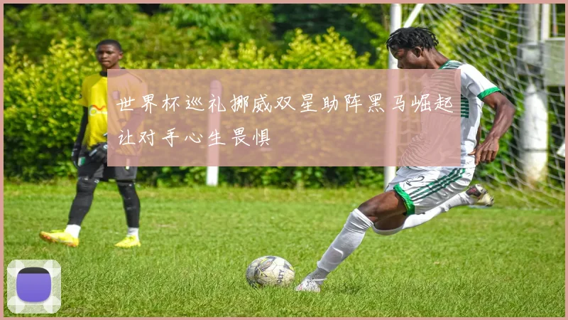 世界杯巡礼挪威双星助阵黑马崛起让对手心生畏惧